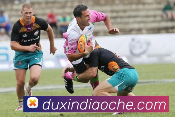 星空网官方入口服务体系